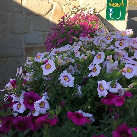 Apartamento Casa A Marchanta