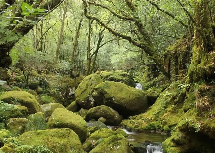 アパート Casa A Marchanta *