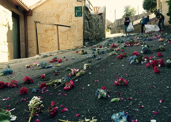 Casa A Marchanta アパート *