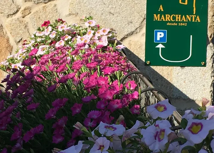 Daire Casa A Marchanta Poio